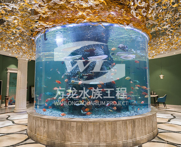 大型亚克力鱼缸的过滤系统如何工作？