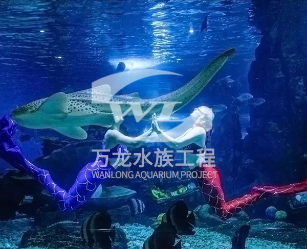 浙江大型海洋主题公园