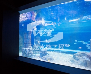 浙江大型亚克力...