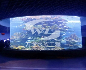 浙江大型亚克力...