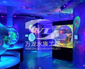浙江萌宠乐园