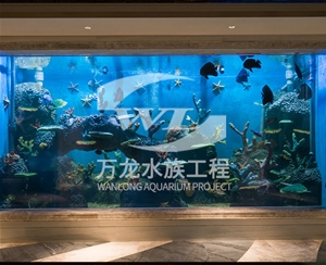 浙江海底景观设计