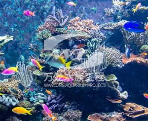 浙江海底景观设计