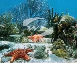 浙江海底景观设计
