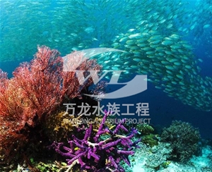 浙江海底景观设计