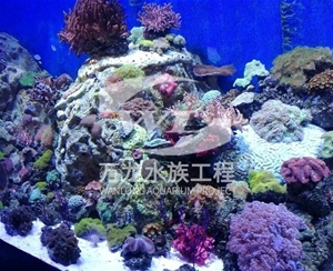 浙江海底景观设计